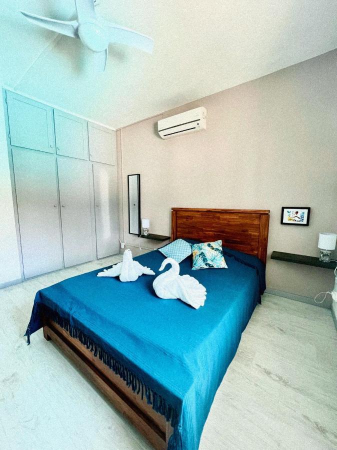 Villa Kazabona Saint-Pierre Centre - Chambres D'Hote Zewnętrze zdjęcie